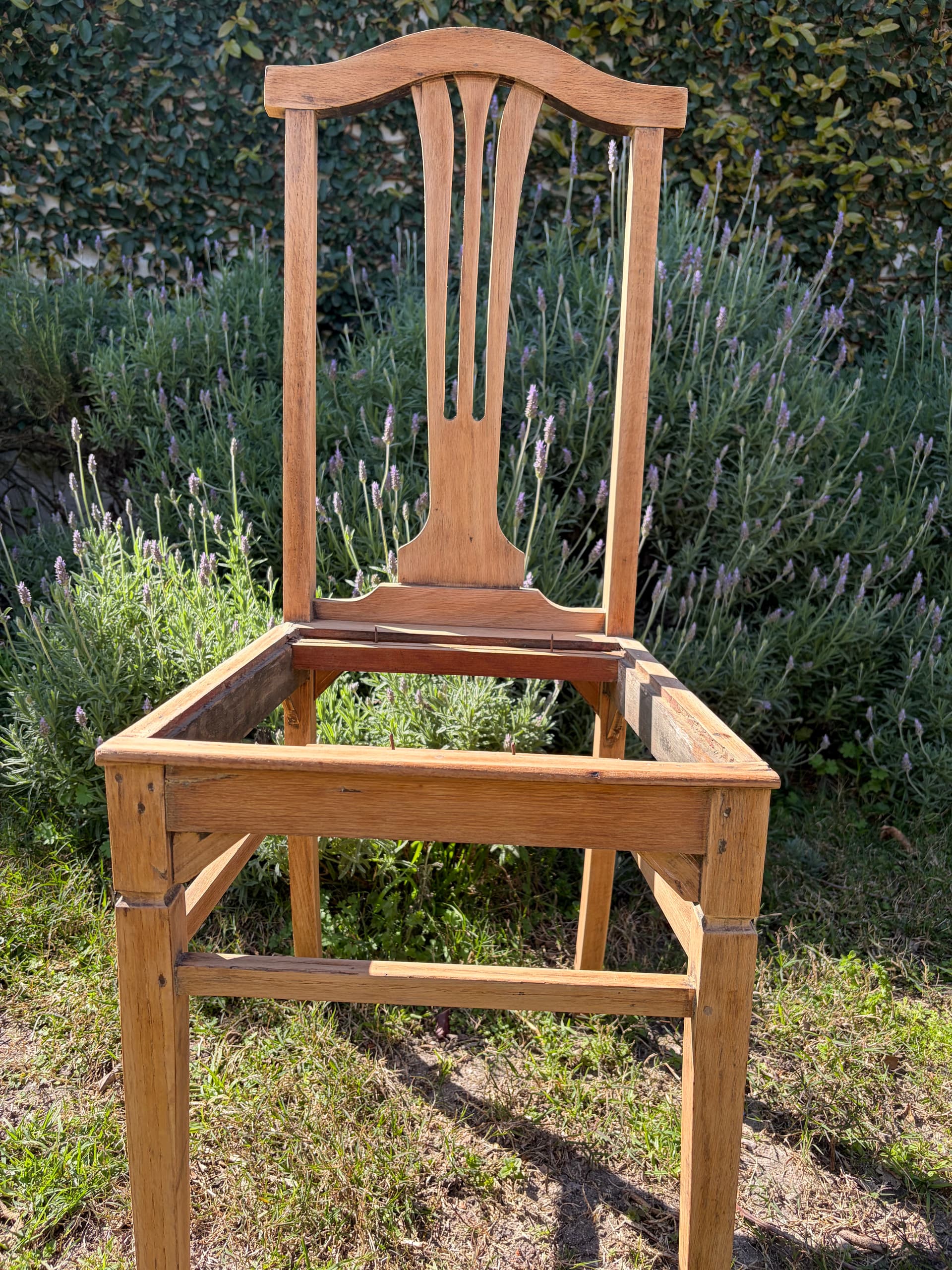 Sillas de roble